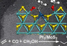 研究人员在单原子催化剂上实现乙烯甲氧基羰基化反应