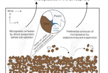 小规模研究发现天然肥料中的微塑料随风飘扬的频率比以前想象的要高