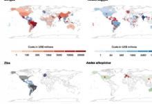 研究显示入侵蚊子及其传播的疾病导致全球经济成本大幅增加