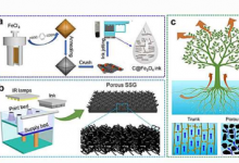 研究人员发明生物启发式3D打印太阳能蒸汽发生器用于海水淡化