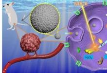 掺杂铁的碳基纳米粒子可提高癌症治疗的精准度和安全性