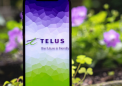 以下是Telus迄今为止节礼周的顶级优惠