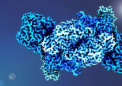 为固氮酶提供动力研究人员找到了改进生物催化剂的新目标