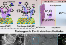 双功能催化剂使高性能电池能够实现可持续能源存储