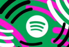 Spotify的无损音频最终可能作为MusicPro附加组件的一部分推出