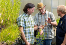 研究人员致力于改变佐治亚州人们对杂草的看法