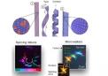 合成微型马达研究人员在超分子水平上将化学能转化为旋转能