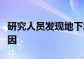 研究人员发现地下水中普遍存在抗生素抗性基因