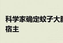 科学家确定蚊子大脑如何整合感觉线索以寻找宿主