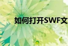 如何打开SWF文件？必备软件大解析