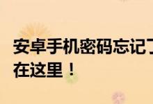 安卓手机密码忘记了怎么办？轻松解锁的方法在这里！