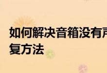 如何解决音箱没有声音的问题？常见排查与修复方法