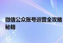 微信公众账号运营全攻略：从零到一的粉丝增长与内容创作秘籍