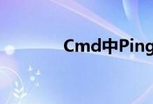 Cmd中Ping命令的使用指南