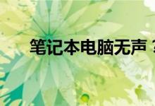 笔记本电脑无声？问题解决方案详解！