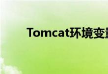 Tomcat环境变量的配置和管理指南