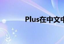 Plus在中文中的含义及其应用