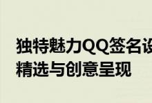 独特魅力QQ签名设计指南：帅气冷酷风格的精选与创意呈现