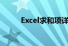 Excel求和项详解与实战操作指南