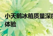 小天鹅冰箱质量深度解析：优势、特点与用户体验