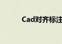 Cad对齐标注的快捷键完全指南