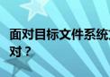 面对目标文件系统文件过大，我们应该如何应对？