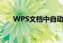 WPS文档中自动生成目录的详细指南