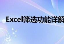 Excel筛选功能详解：操作方法与使用技巧