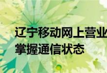 辽宁移动网上营业厅 - 便捷查询详单，轻松掌握通信状态