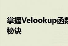 掌握Velookup函数：高效数据查询与处理的秘诀