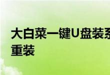 大白菜一键U盘装系统：轻松实现系统安装与重装